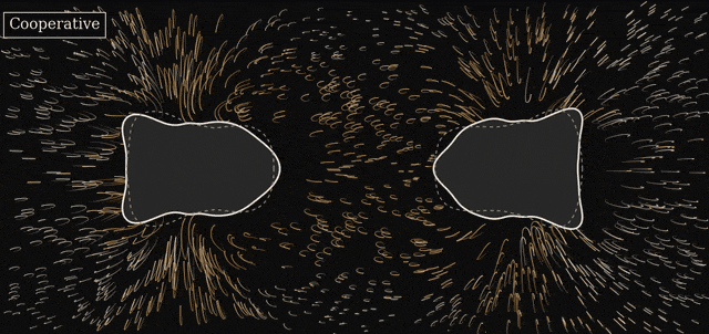 Cooperative microswimmers