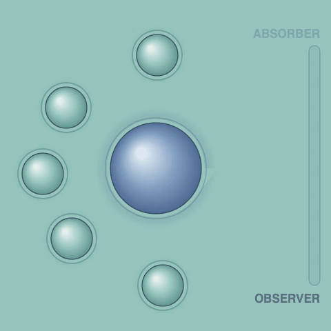 Observer-absorber assemblies